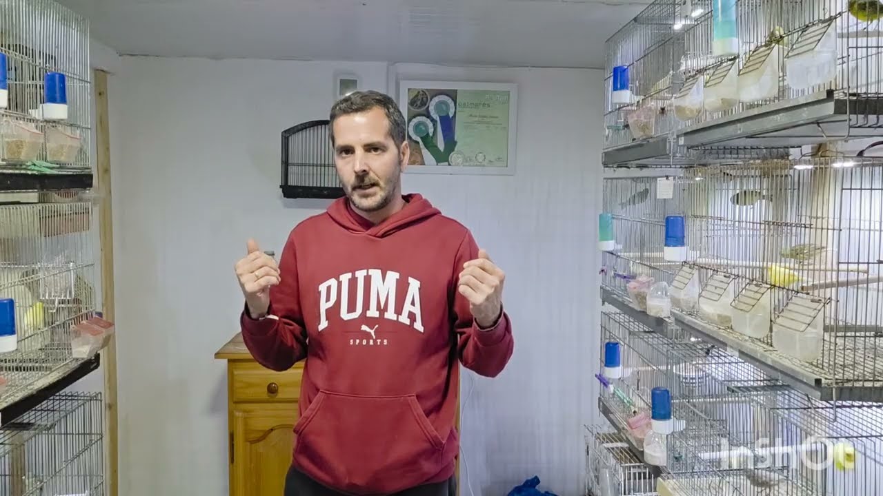 Terminamos con la ampliacion del aviario e inaguramos la temporada de CRIA🐦🐦🕊🕊