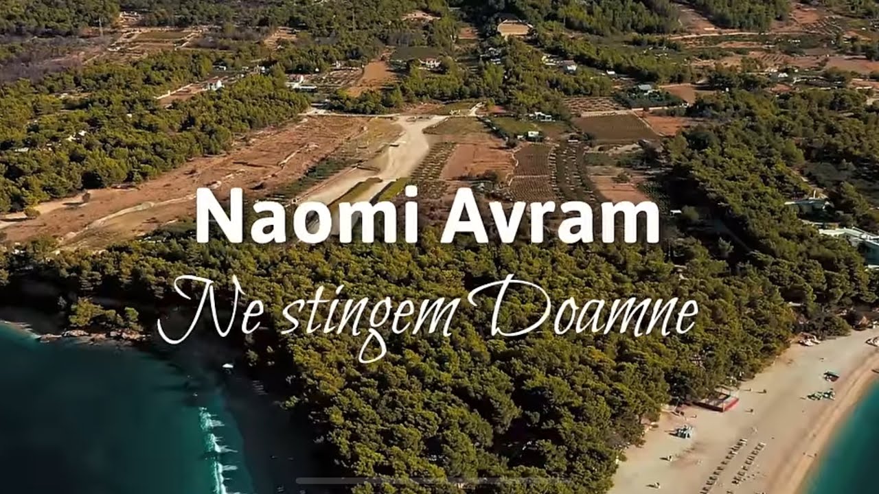 Ne Stingem Doamne - Naomi Avram