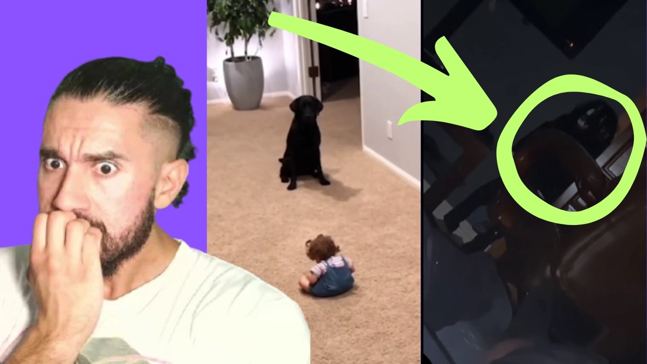 CREEPY TikToks That Had Me Checking Every Corner