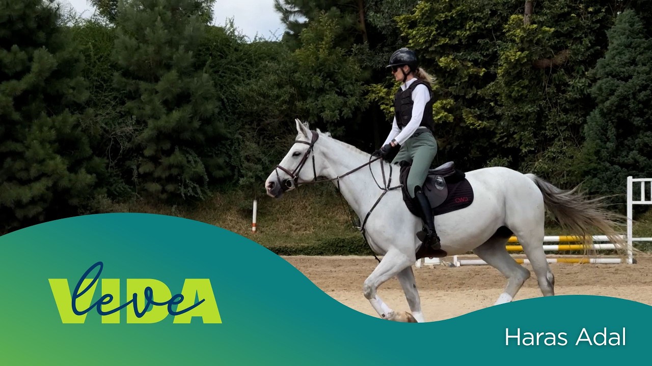 Vida Leve: Haras Adal