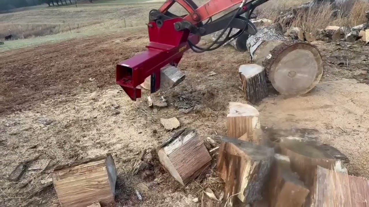 Splitting large white oak #outdoors #outdoorwork #firewood #splitfire #wood #logsplitting 