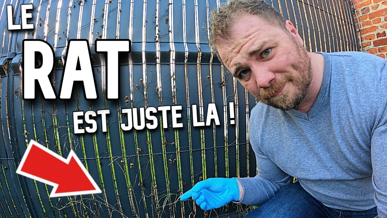 GROS dégâts des RATS dans une cuisine ! (partie 2)