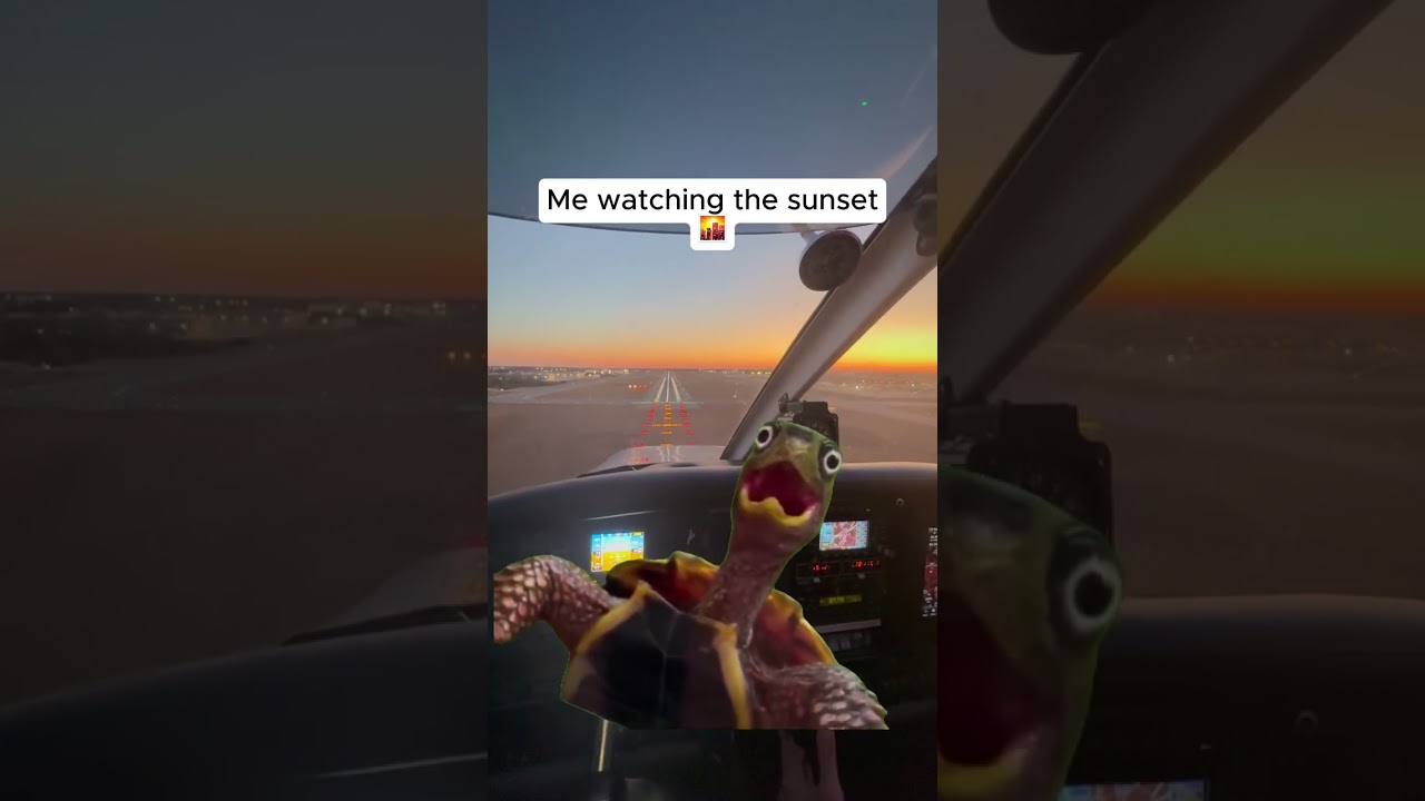 Sunset Landing 🌇 | Golden Hour Flight Training POV ✈️
