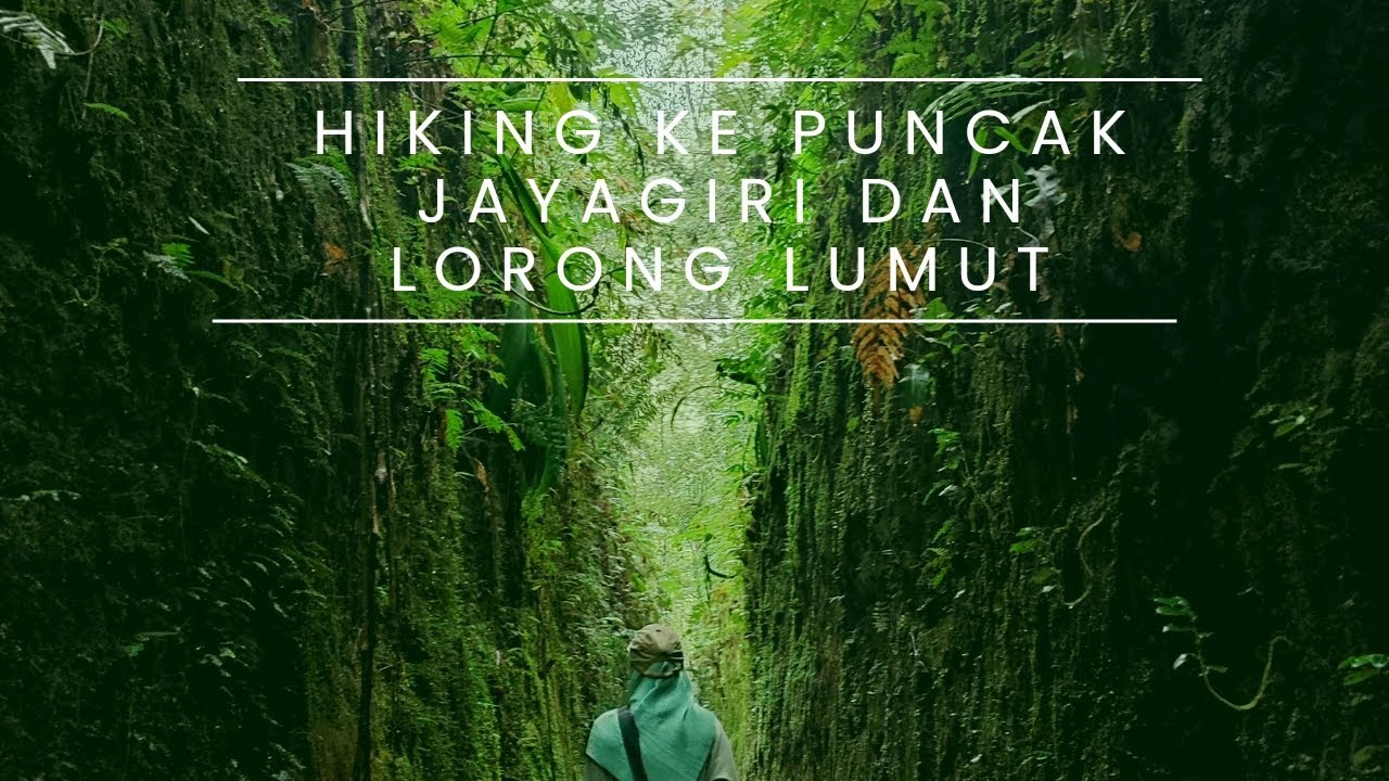 Puncak Jayagiri,Warung Mak Idah,dan Lorong Lumut yang Eksotis Hiking Penuh Tantangan Wisata Jayagiri