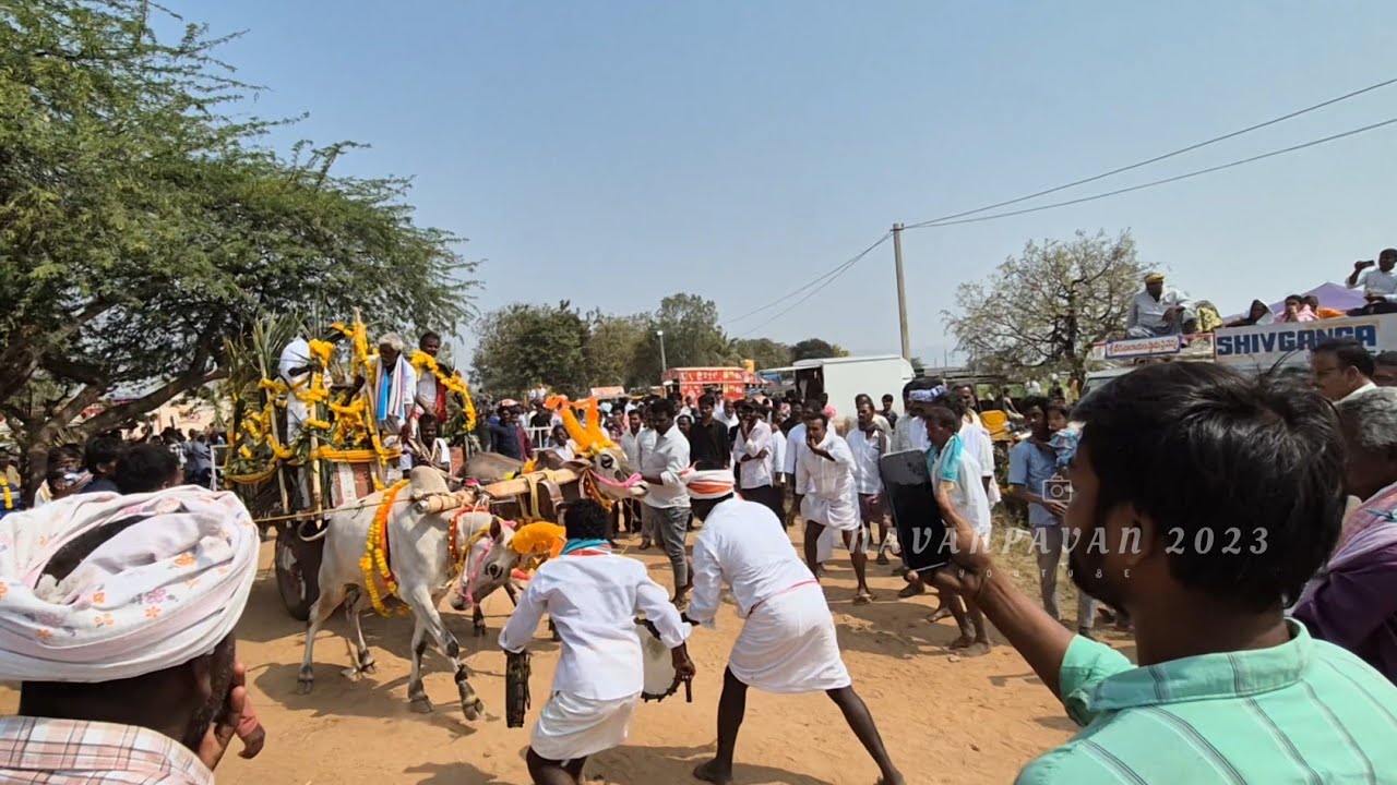 Furious Bull's in Veeranarayana Swamy Mahotsav 2k26 #viralvideo #mahashivaratrispecial#god#subscribe