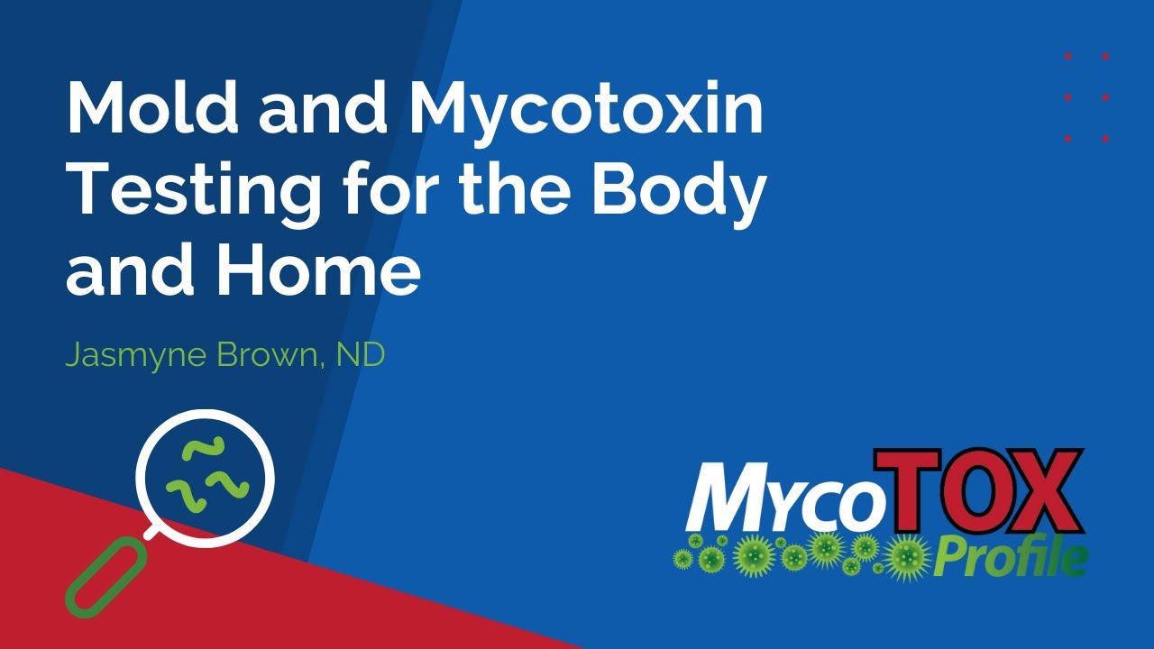 Mold and Mycotoxin Testing for the Body and Home