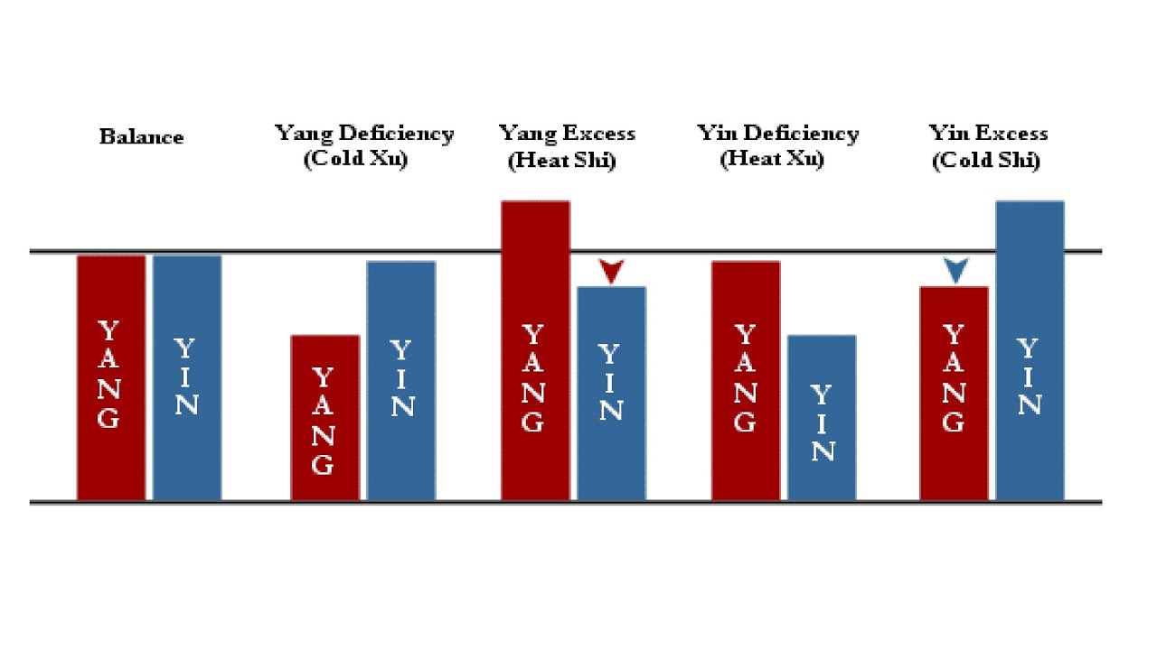 YIN AND YANG DEFICIENCY AND EXCESS