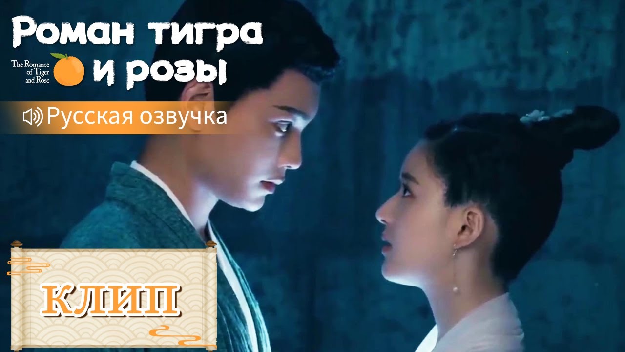 Она на самом деле готова умереть за него?💞Роман тигра и розы【Русская озвучка】传闻中的陈芊芊