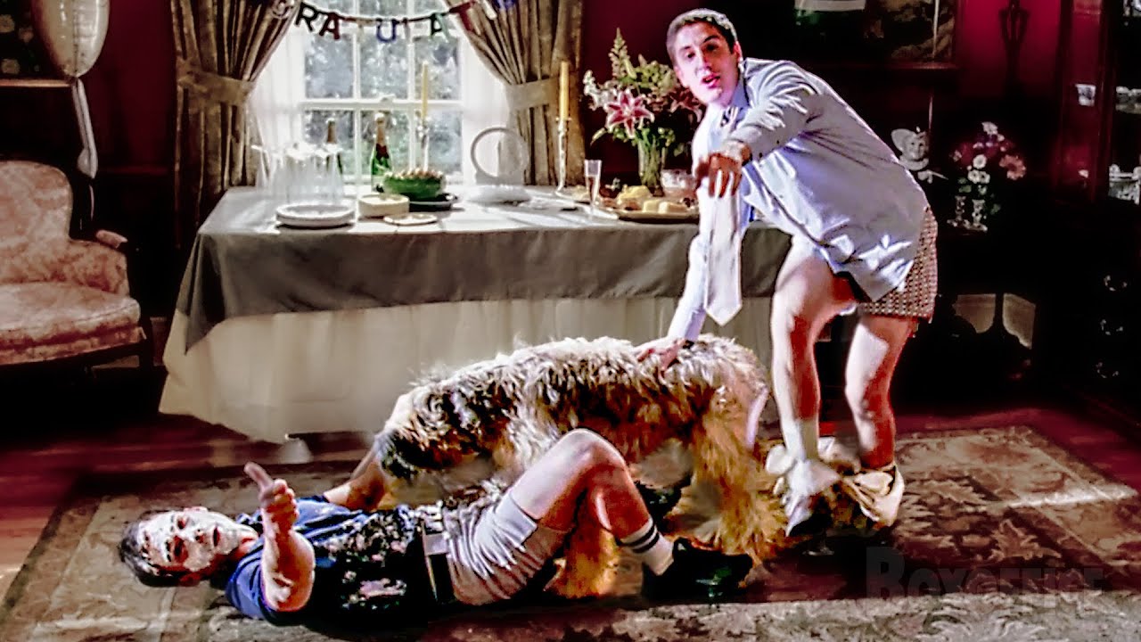Nooo Stifler, il cane no! | American Pie - Il matrimonio | Clip in Italiano