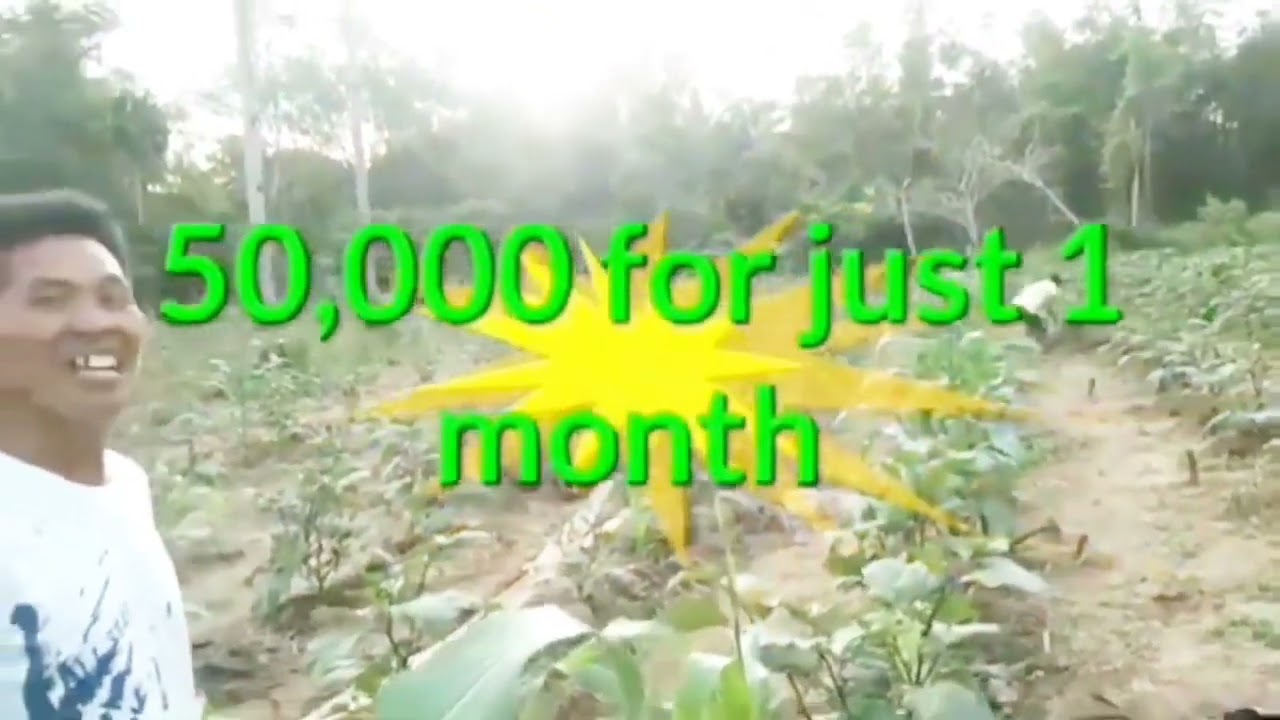 @Farmingsecrets1 @farmya