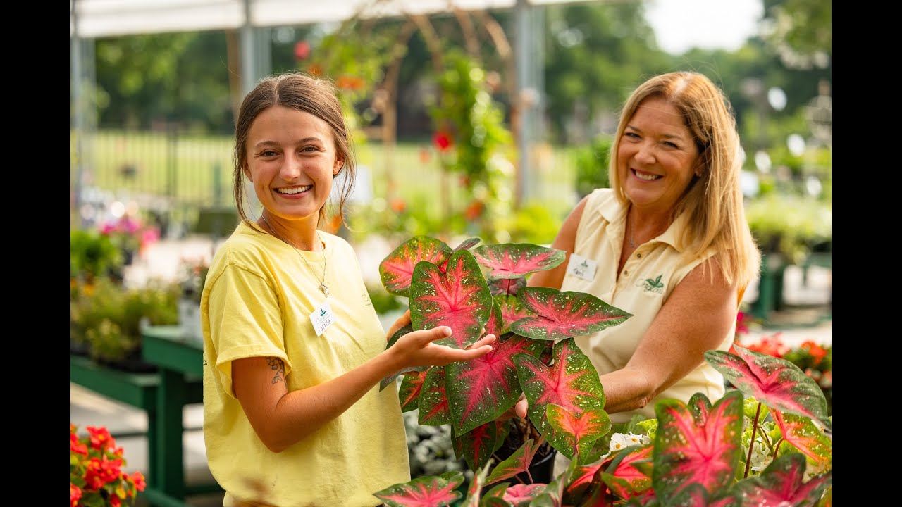 Covington’s Nursery: Our History, Culture & Values