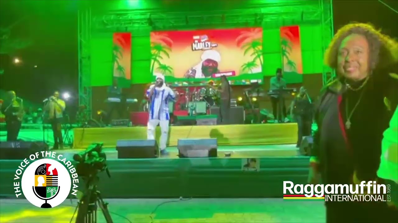 Warrior King Reggae Month 2026 Bob Marley Birthday Celebration Kingston Jamaica 