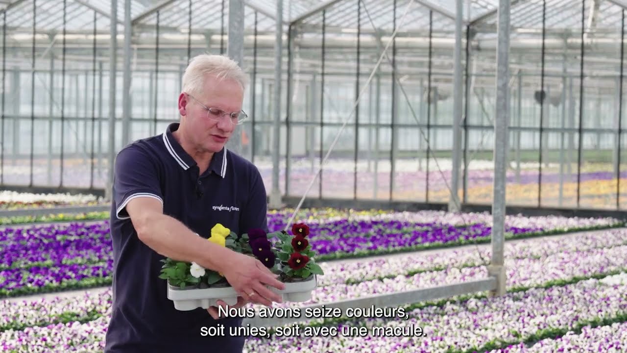 Delta Pro at grower Bouten | French