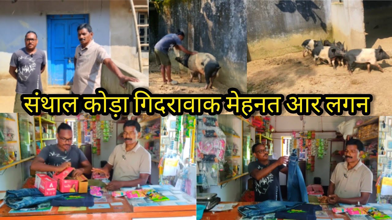 संथाल कोड़ा गिदरावाक मेहनत आर लगन || Marandi vlogs
