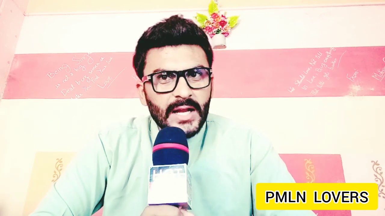 PMLN Lovers