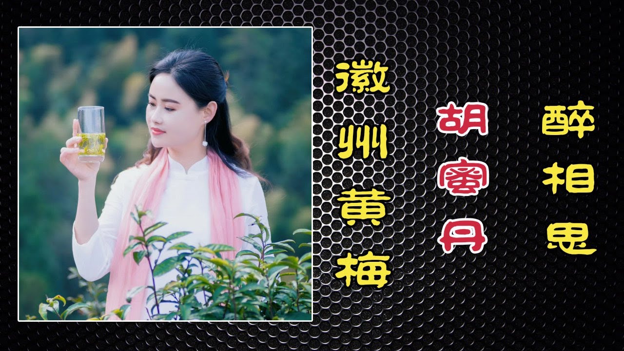 醉相思（徽州黄梅）歌手：胡蜜丹