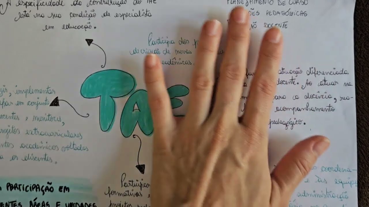 Quem é o Técnico em Assuntos Educacionais e o que ele faz? 📚✨