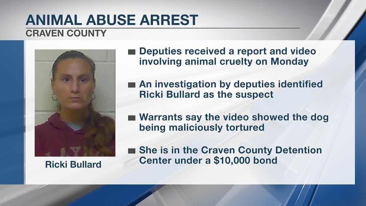 Craven County woman arrested in connection with video of dog abuse