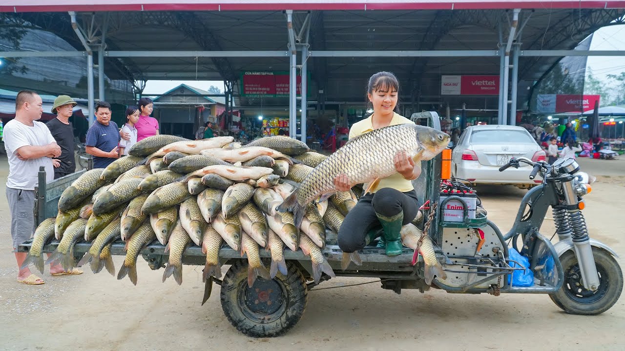 Buy Lots Of Big Fish From Villagers Pull Nets To Harvest Many Fish, Use Truck Transport Fish To Sell