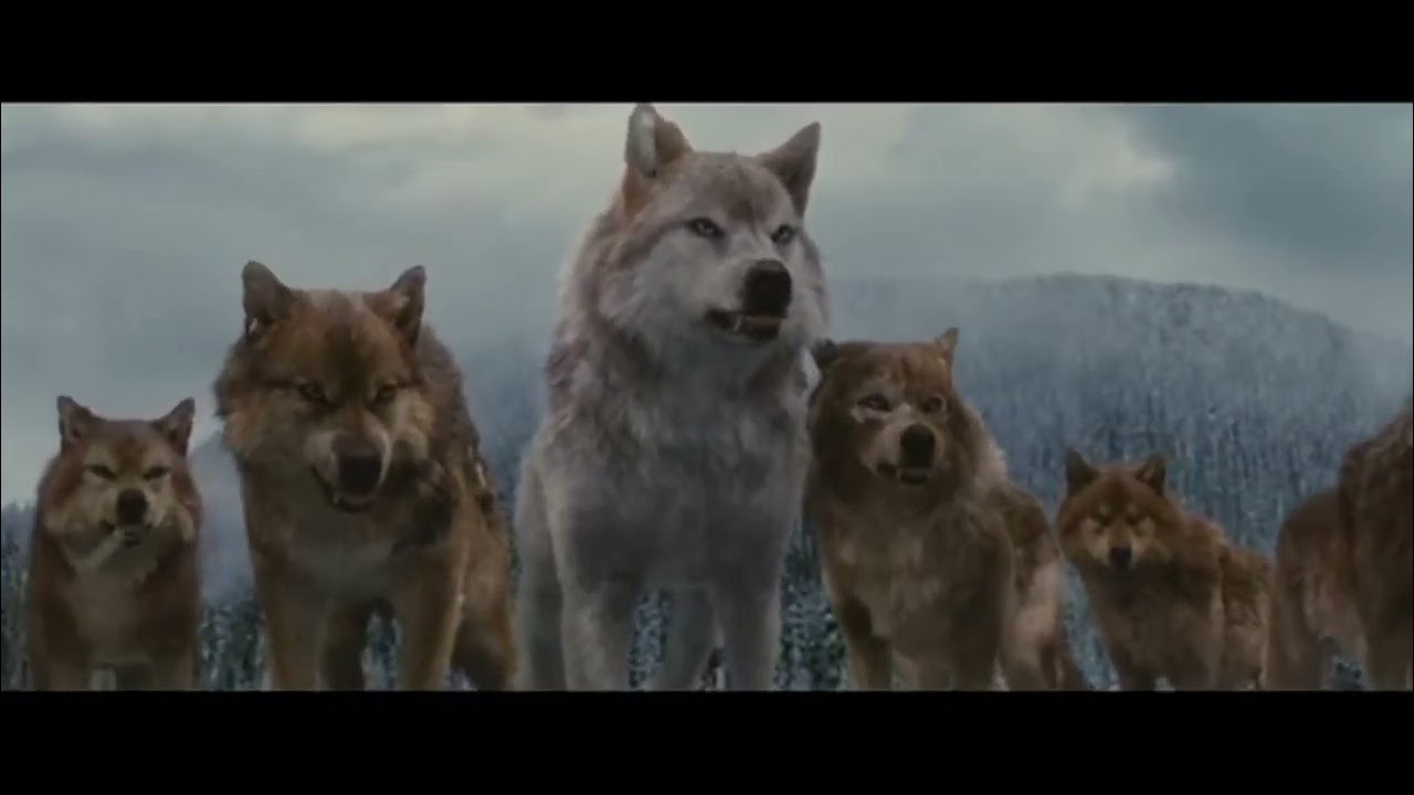 Twilight Wolves ~ ET