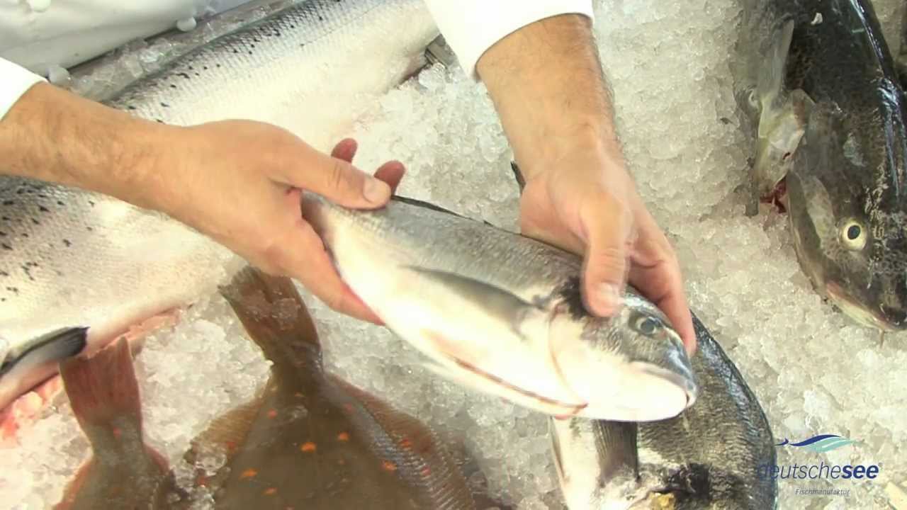 Deutsche See Frischetest f&uuml;r Fisch