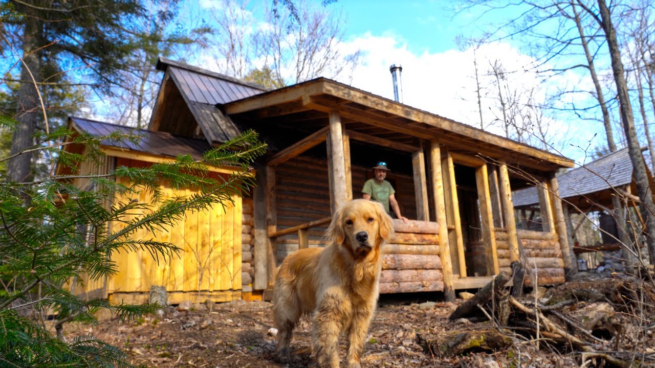 Alone with my Dog at the Cabin, Grilled Bear Steak with Mushrooms | Nature Sounds
