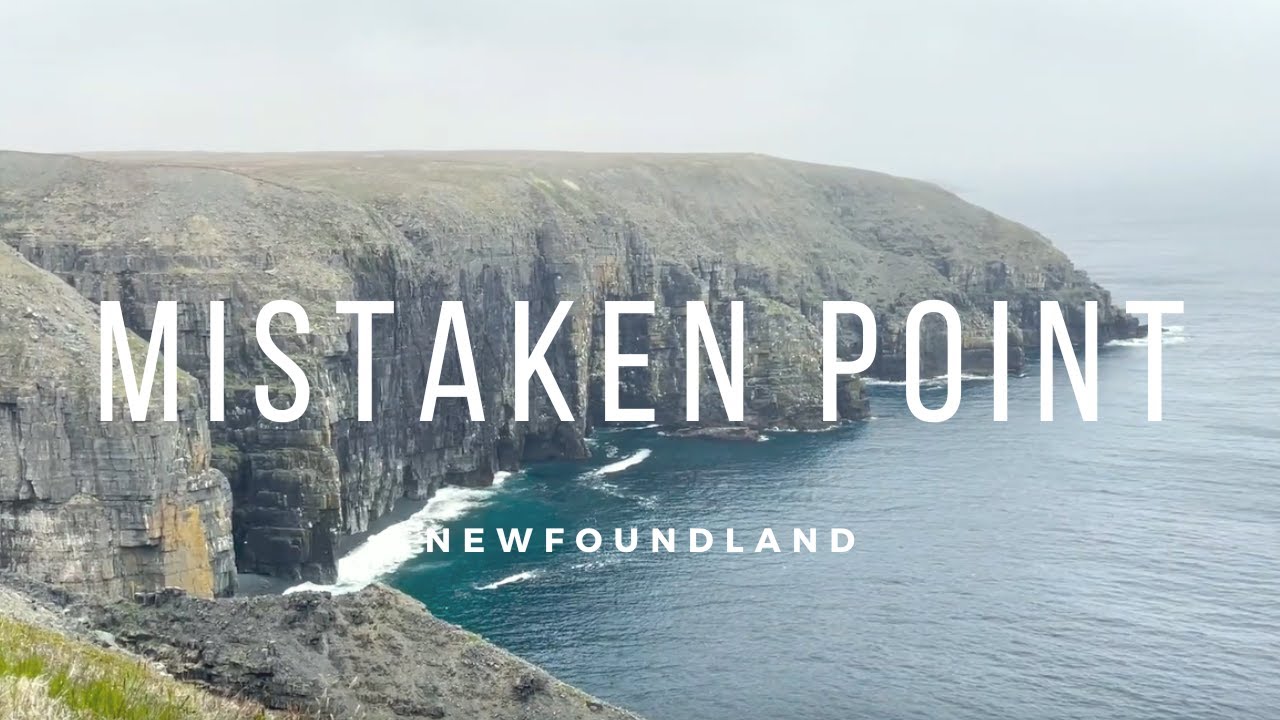 Fossils and a lighthouse! Mistaken Point and Cape Race, Newfoundland