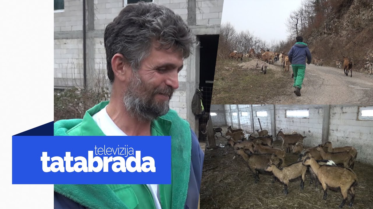 ''Koza je doktor, gleda te u lice i vidi li da si slabić, donji si!''