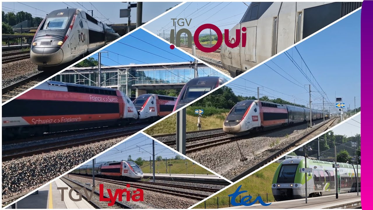 [ SNCF | 4K UHD ] De retour à Besançon Franche-Comté TGV  (TGV Inoui, TGV Lyria, TER )