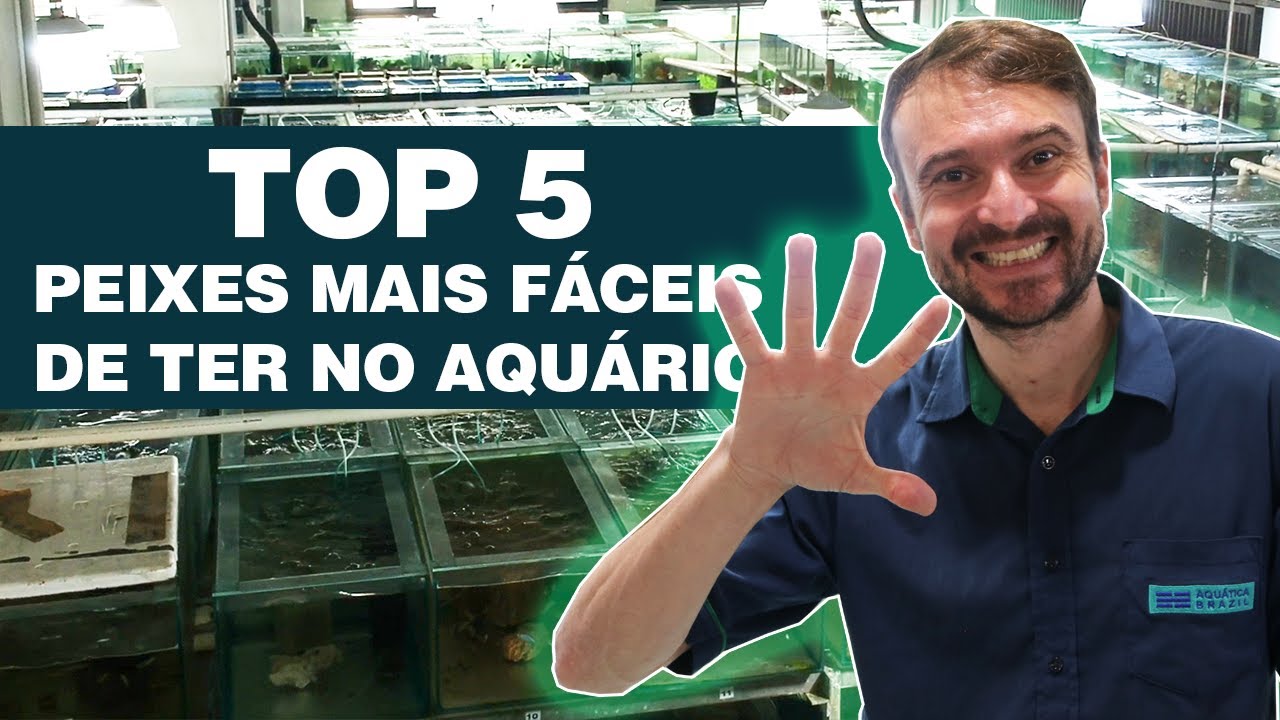 PEIXES MAIS FÁCEIS DE CUIDAR - TOP 5 [Aquário de Água Doce]