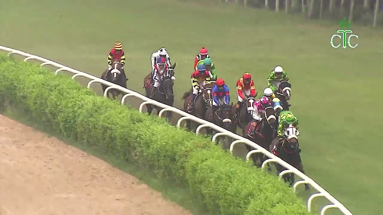 RULING STAR побеждает в розыгрыше Кубка Mysore Race Club Ltd.