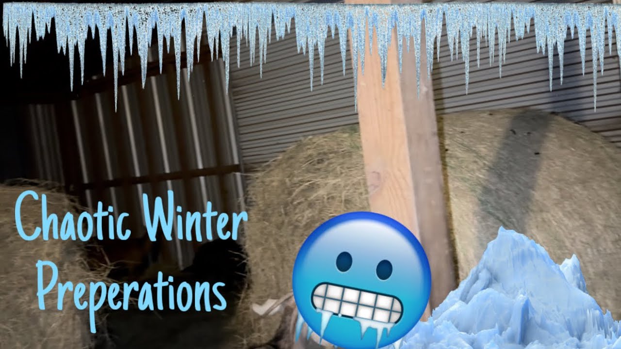 Winter Storm Prep 2026