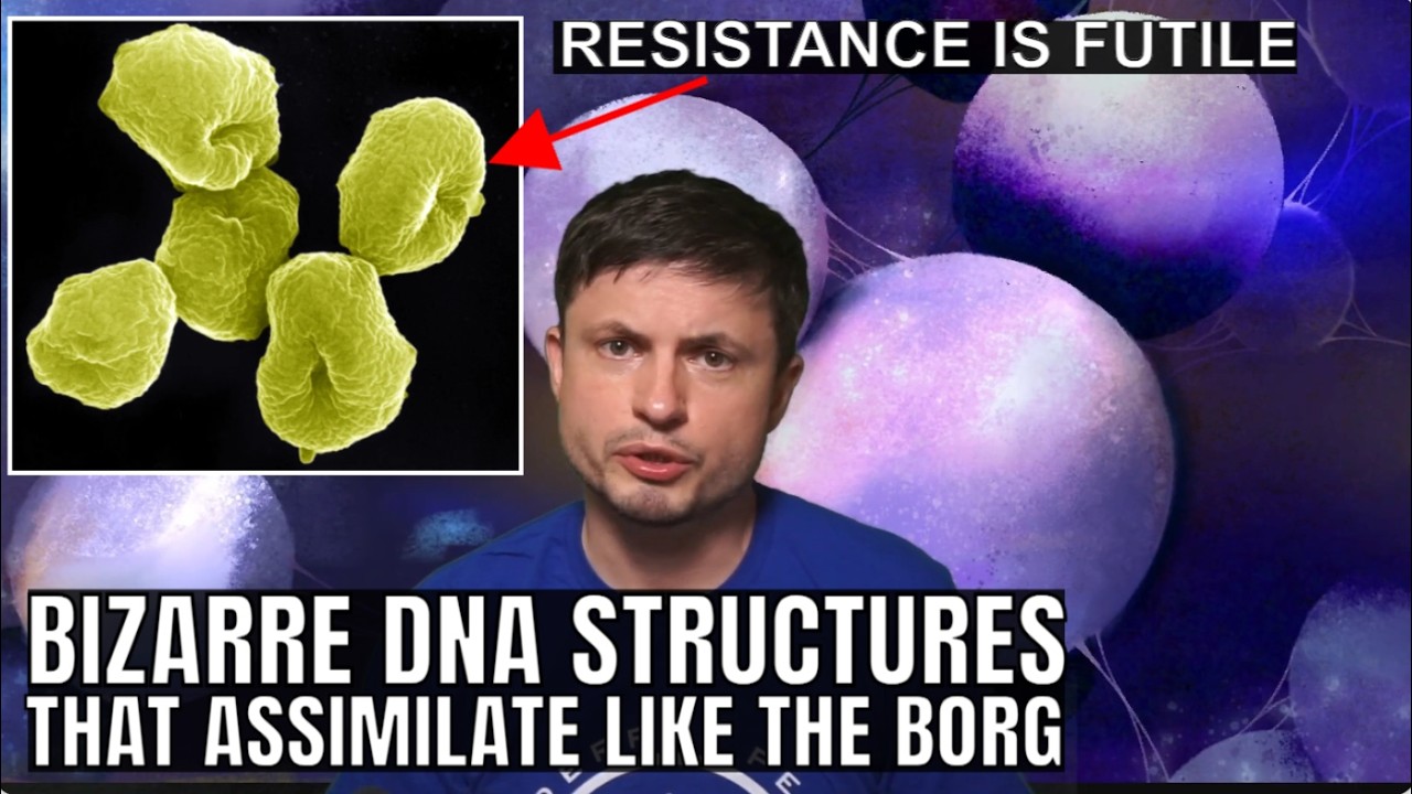 Borg DNA Found Inside Microbes Is Unlike Anything We've Ever Seen