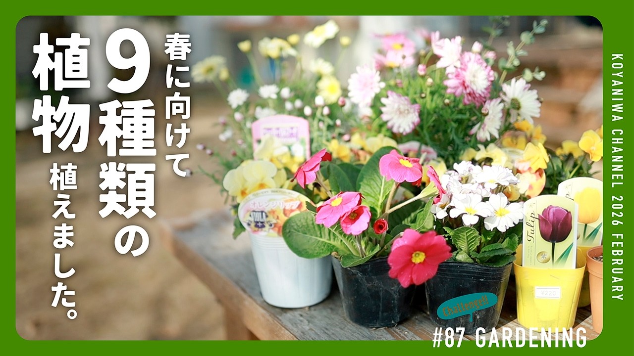 ［ガーデニング］春に向けて9種類の植物を植えました。#ガーデニング＃庭#gardening
