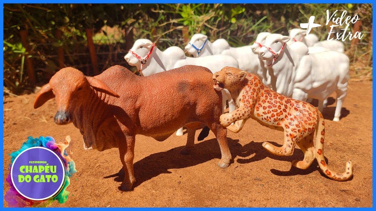 On&ccedil;a Ataca a Vaca! Seu Juca Entrou em A&ccedil;&atilde;o para Salvar!