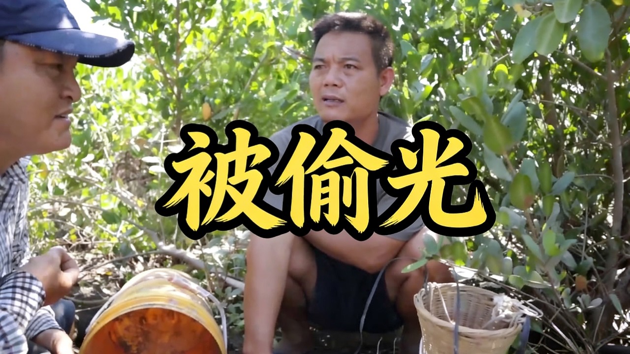 谁干的？老四赶海收陷阱，一看满地脚印，桶底都被人刮干净了
