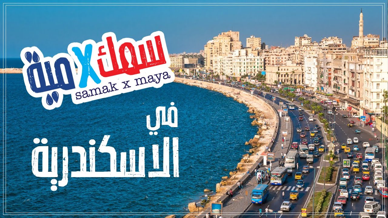 سمك في ميه في الاسكندرية - جولة في مزرعة الانطوني لأسماك الزينة