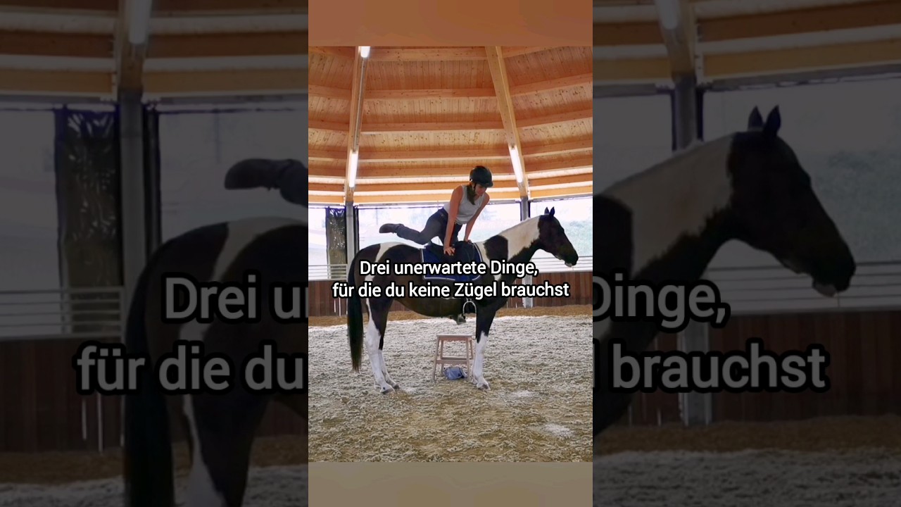 Drei Dinge, f&uuml;r die du KEINE Z&uuml;gel brauchst ✨ #horsemanship #reitkunst #libertydressage