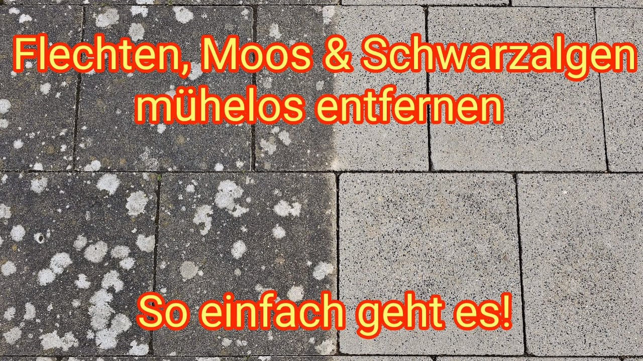 Flechte, Moos & Schwarzalgen entfernen von Terrassen- und Steinplatten, mit Abacus Steinreiniger