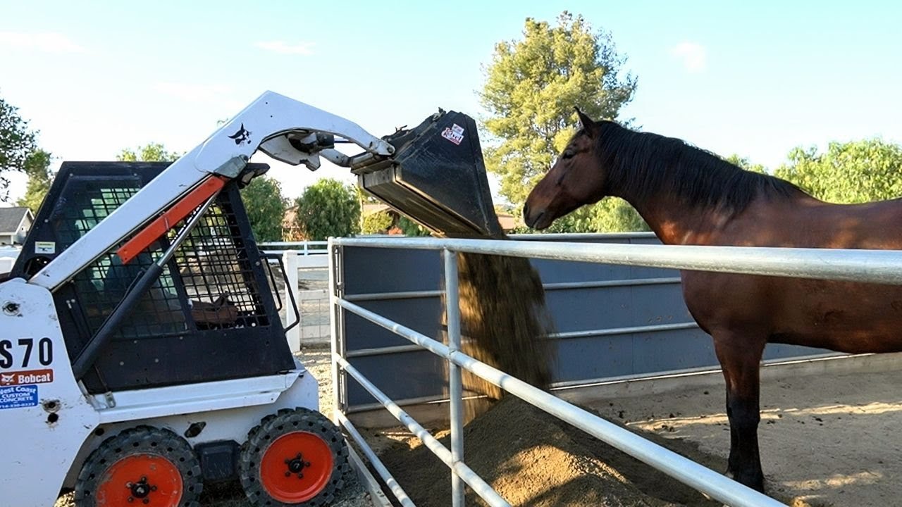 Back @ Horse Barn w/ Bobcat S70! California