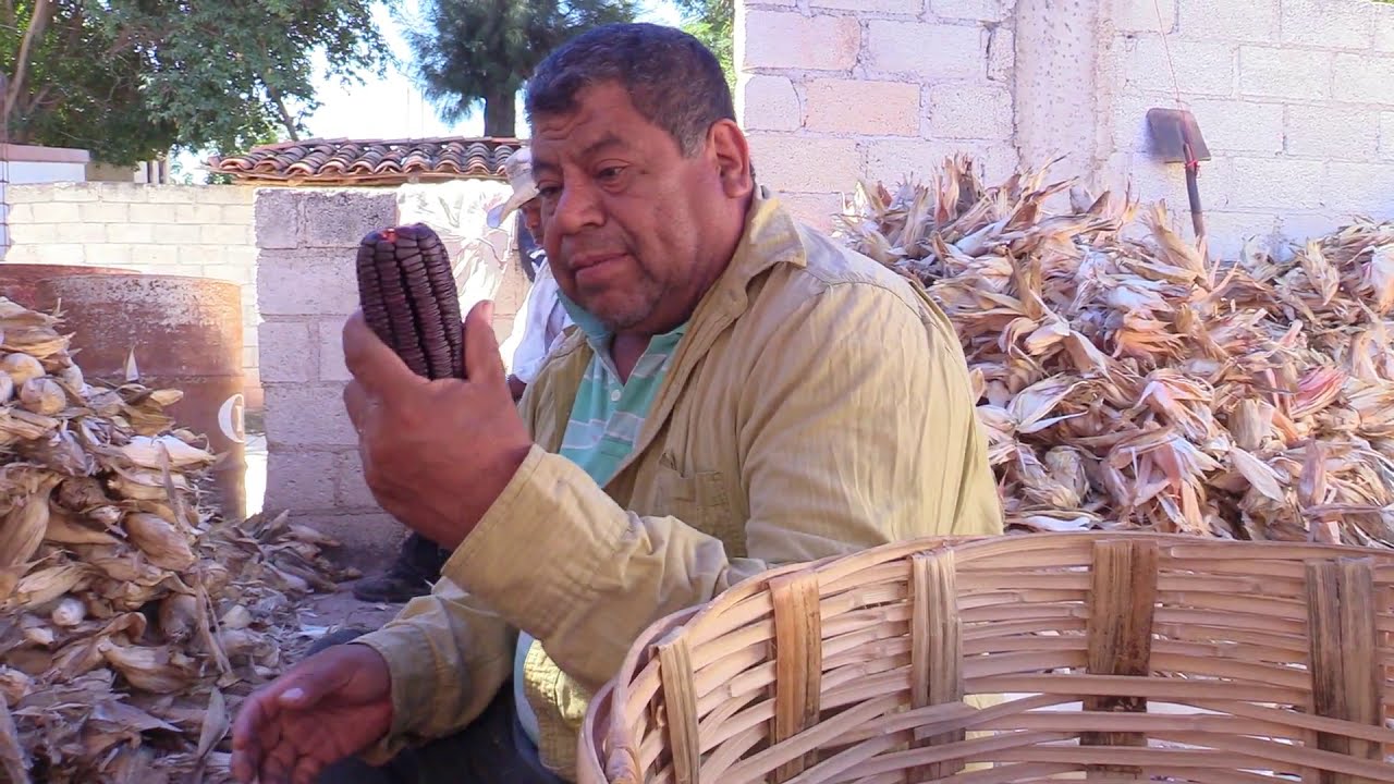 Piscando en Acaxtlahuacàn (PARTE 2)