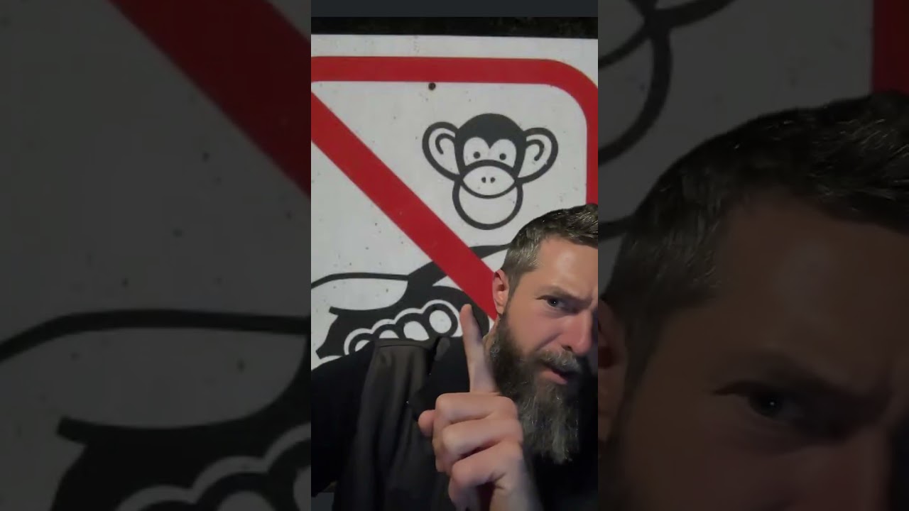 Pro white live - DON’T feed the monkeys! Ever! 