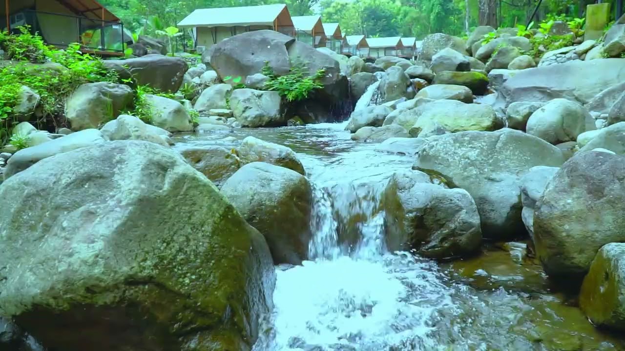 Soothing River Sounds for Concentration, Studying, Stress Relief and Better Sleep