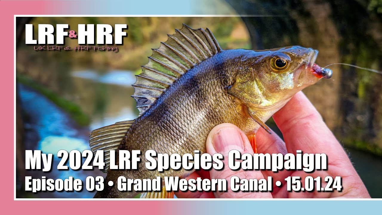 Episode 03: My 2024 LRF Species Hunt - Grand Western Canal