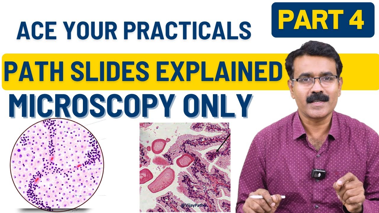 Microscopy Made Easy – Part 4: Quick Revision of Common Pathology Slides | Dr. Vijay Shankar