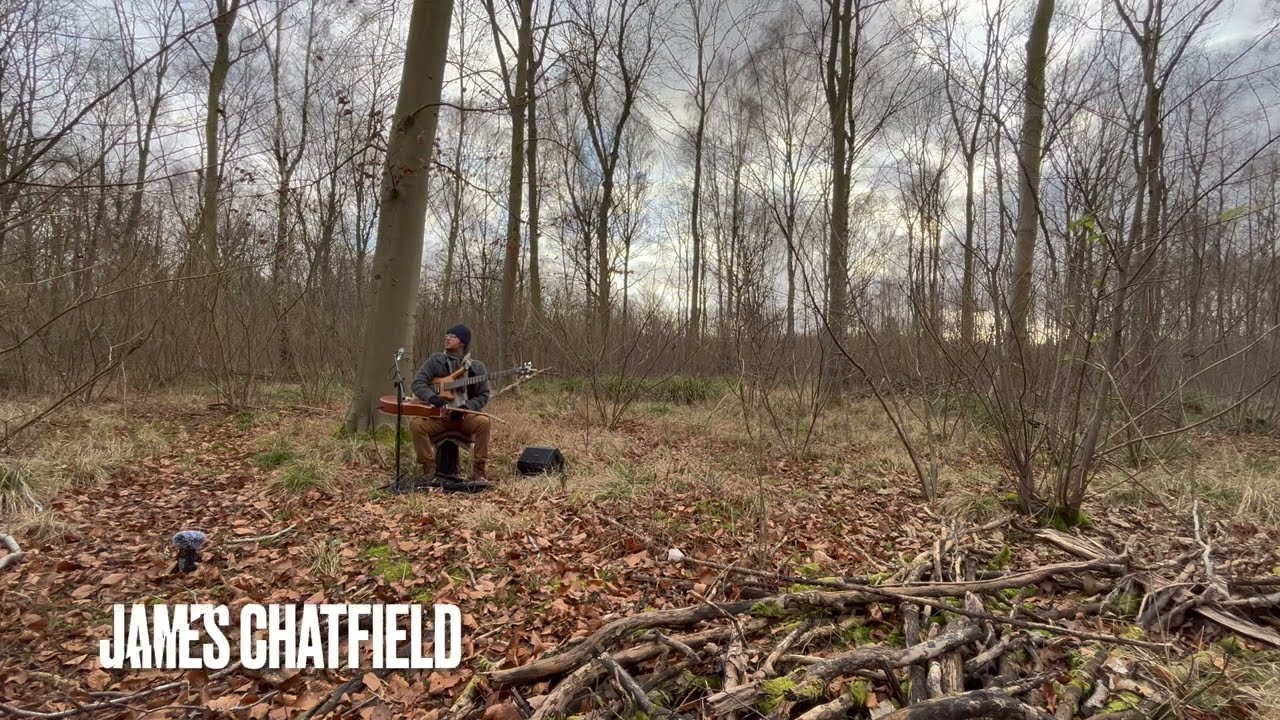 Relaxing Music 4K, Live Performance of Guitar and Bass in an English Woods, ASMR Nature Ambience