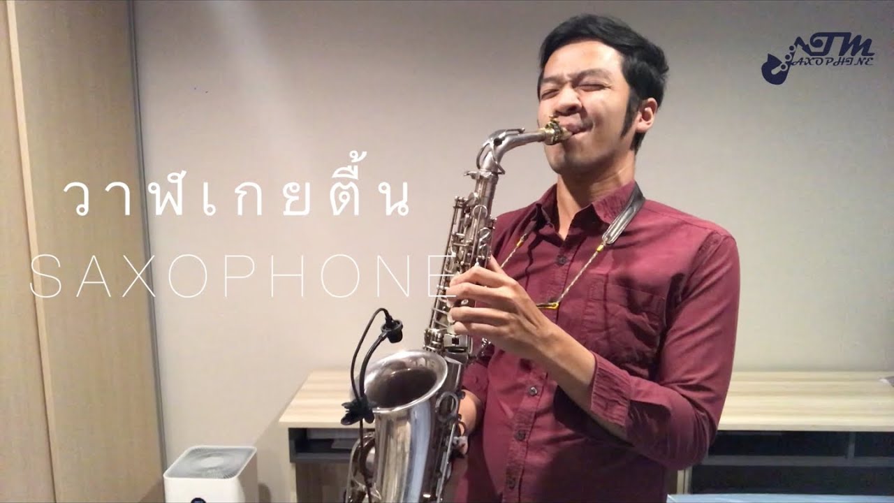 วาฬเกยตื้น - GUNGUN COVER | TM Saxophone แซกโซโฟน