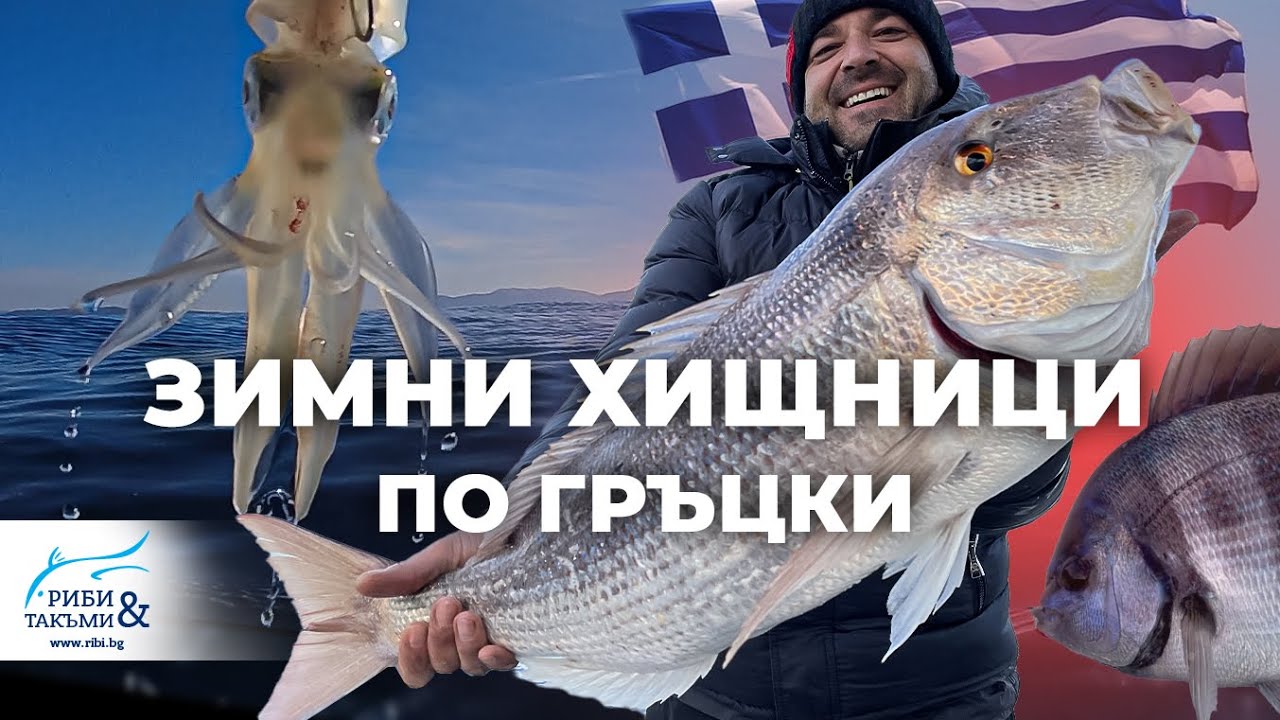 Зимни ХИЩНИЦИ по ГРЪЦКИ / 1 - част