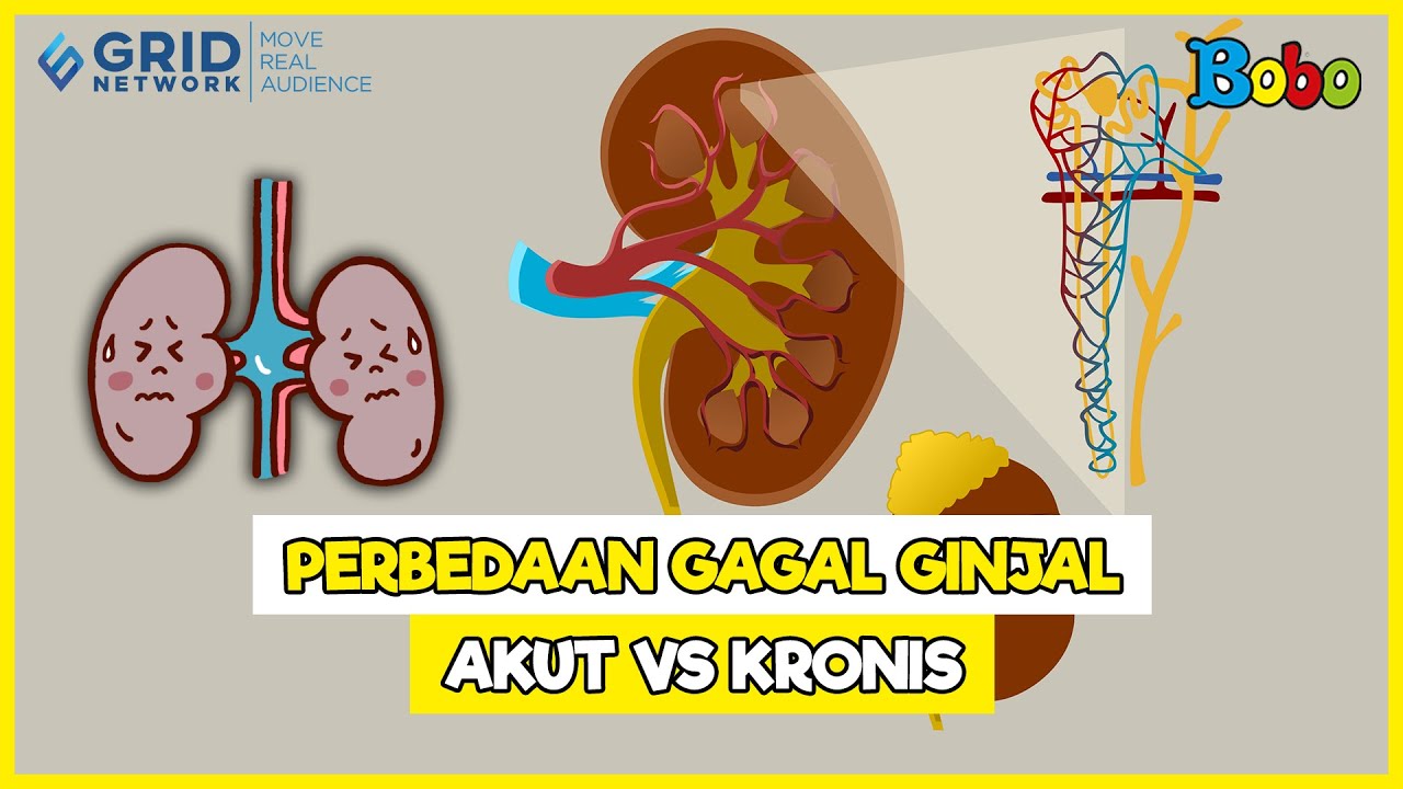 Perbedaan Gagal Ginjal Akut dan Kronik - Fakta Menarik