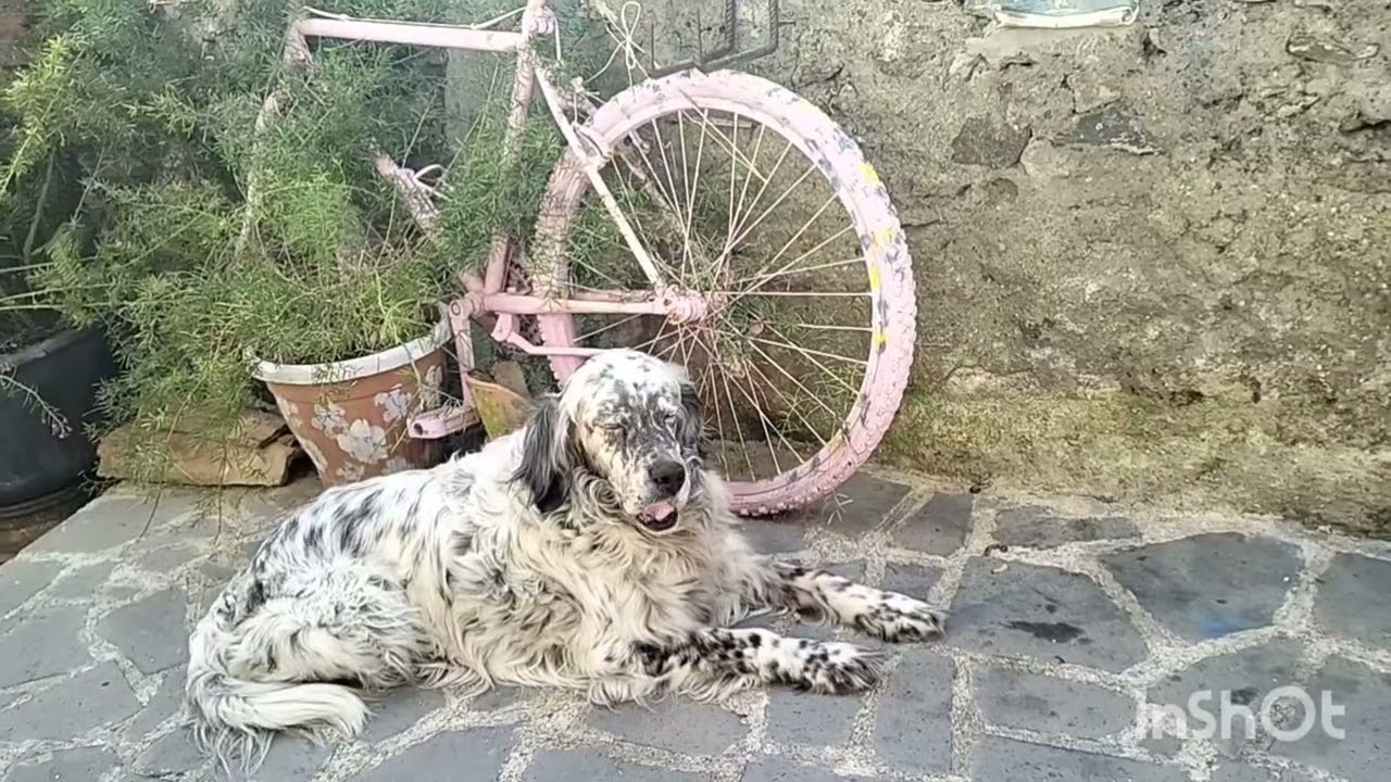 Мужчины ради нас не будут себя улучшать.